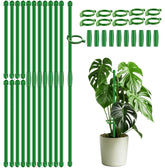 SupKing paquete frontal de tutores verdes, soporte duradero