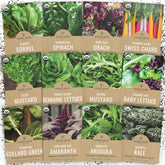 SWEET YARDS pack frontal con 12 sobres orgánicos, muestra variedad y facilidad