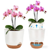 Sxueg maceta frontal blanca 5.8 con diseño elegante y ahorro de riego