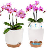 Sxueg maceta frontal blanca con diseño elegante y ahorro de riego