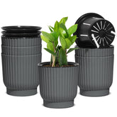 T4U maceta frontal pack de 6 muestra diseño compacto y ahorro de riego