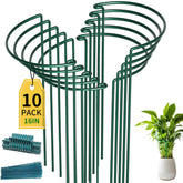TCBWFY soporte frontal del pack mostrando tamaño y cantidad, mantiene plantas erguidas