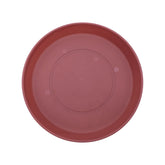 The HC Companies plato Prima frontal marsala mostrando forma y borde, protege superficies