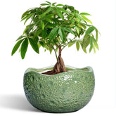 Thirtypot maceta frontal verde mostrando diseño y estabilidad