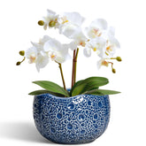 Thirtypot vista frontal de maceta azul, elegante y funcional