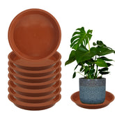 TNTIWQ paquete frontal de ocho bandejas terracota protegiendo superficies