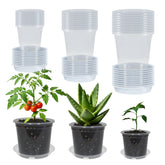 TNTIWQ maceta frontal transparente mostrando planta y ventaja visibilidad