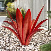 TOMBABY agave frontal roja mostrando diseño robusto y presencia decorativa
