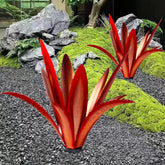 TOMBABY agave frontal roja, acento visual para jardín