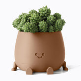 TOPOLA maceta frontal caqui mostrando diseño sonriente y forma compacta