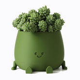 TOPOLA maceta frontal verde oscuro con cara sonriente, añade encanto decorativo
