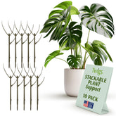 Twigs GA frente del paquete Moonstone, aspecto natural y discreto
