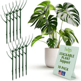 Twigs Ga paquete frontal de 10 estacas verde oscuro, soporte elegante