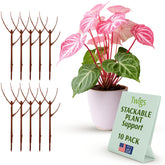 Twigs GA imagen frontal del paquete Begonia Red, soporte discreto y decorativo
