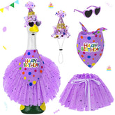 Ueyben vista frontal del conjunto de cumpleaños mostrando sombrero pañuelo gafas y falda, ideal para celebrar
