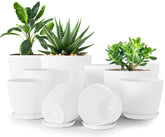 Utopia Home maceta frontal del set en blanco mostrando acabado elegante y limpieza