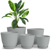 Utopia Home maceta frontal del set gris mostrando el diseño minimalista y versatilidad