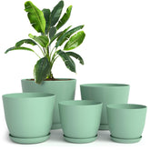 Utopia Home vista frontal del pack de cinco macetas menta con ahorro de espacio