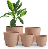 Utopia Home vista frontal del pack de 5 macetas rosa melocotón con drenaje, ideal para decorar