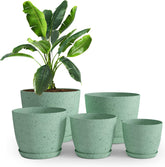 Utopia Home conjunto frontal de cinco macetas spotty mint elegante