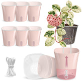 Vandorelle pack de 8 macetas rosas mostrando diseño y color beneficios estéticos