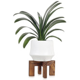 Vigordream soporte frontal mostrando diseño estable y estética natural