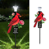 VKEVOC cardenal frontal mostrando diseño y serenidad