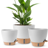 WEICHENGXING maceta frontal blanca moderna mostrando diseño y ahorro de agua