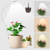 wolezek vista frontal de la lámpara, ilumina plantas con espectro completo
