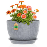 WSMKSZ vista frontal maceta ancha, aspecto decorativo y estable