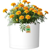 WSMKSZ maceta frontal blanca elegante para decorar interiores