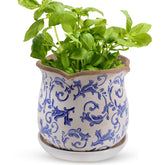 Xoogifae maceta frontal vintage que añade carácter decorativo