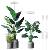 yadoker vista frontal del pack de luces, beneficio: iluminación amplia para plantas grandes