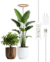 yadoker vista frontal de la lámpara con acabado madera y control fácil