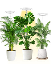 yadoker vista frontal de la lámpara mostrando diseño negro y barras LED para cultivo