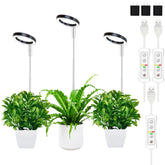 yadoker vista frontal del producto, iluminación eficiente para plantas