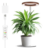 yadoker vista frontal del producto con base blanca y veta nogal, elegante y funcional