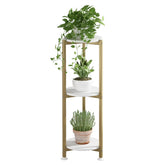 YIZAIJIA soporte de planta frontal mostrando diseño estable y compacto