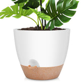 YNNICO maceta 12" vista frontal con planta, aporta diseño práctico