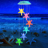 Zeiliuled carillón frontal mostrando estrellas de mar iluminadas y atractivo visual