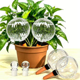 ZephyrBloom globo 26oz frente muestra diseño elegante y gran capacidad