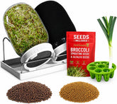ZESTIGREENS frascos en embalaje frontal mostrando kit completo y beneficios