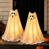 Zesua gato fantasma frontal mostrando figura iluminada y atractivo decorativo