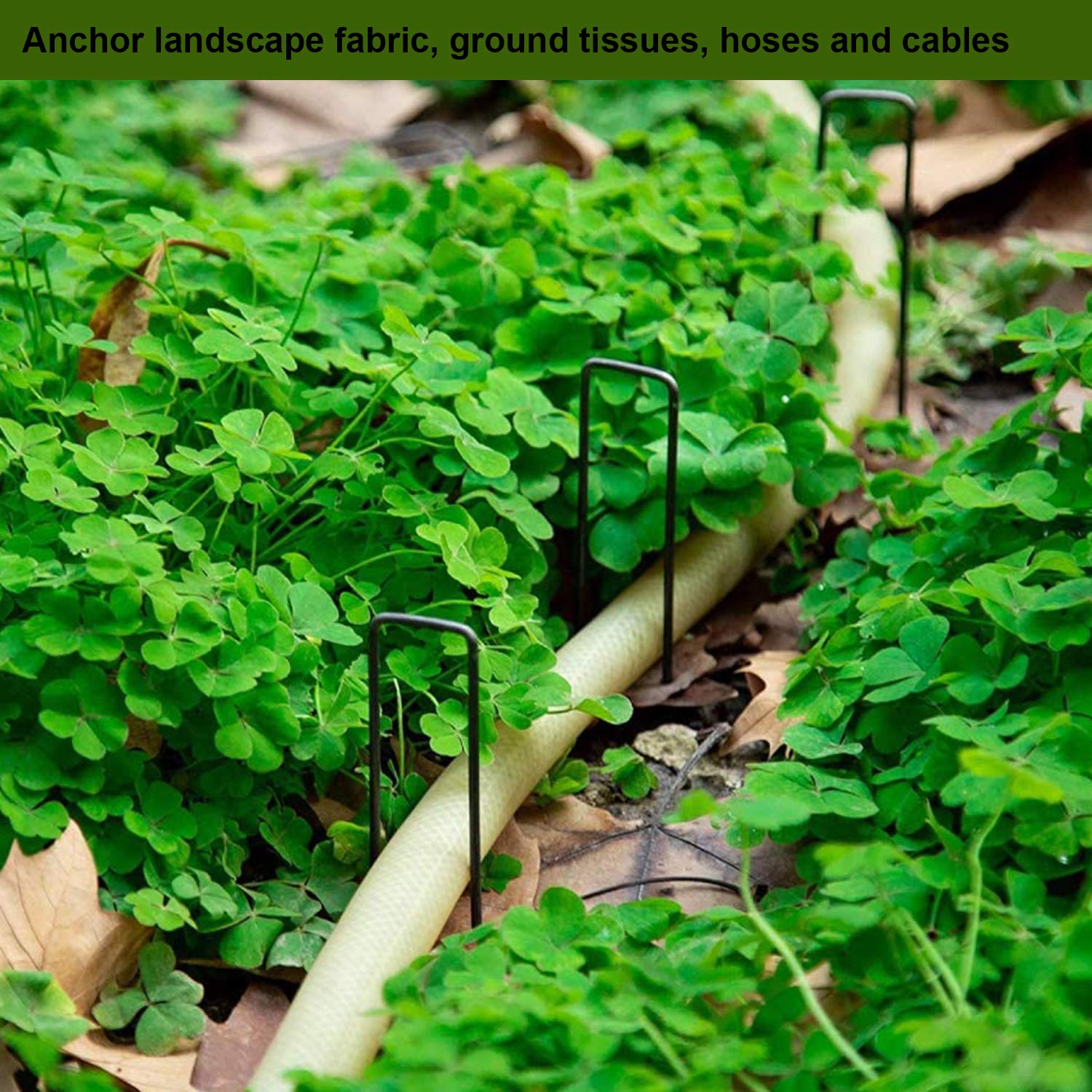 AAGUT etiqueta del producto con especificaciones claras y uso versátil