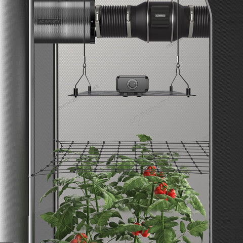 AC Infinity red junto a manos para comparar escala y mostrar facilidad de manejo
