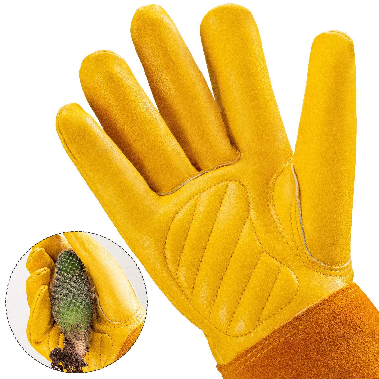 Acdyion guantes en uso podando rosas con agarre seguro