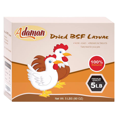 Adaman larvas cerca de un pollo, fuente natural de proteína