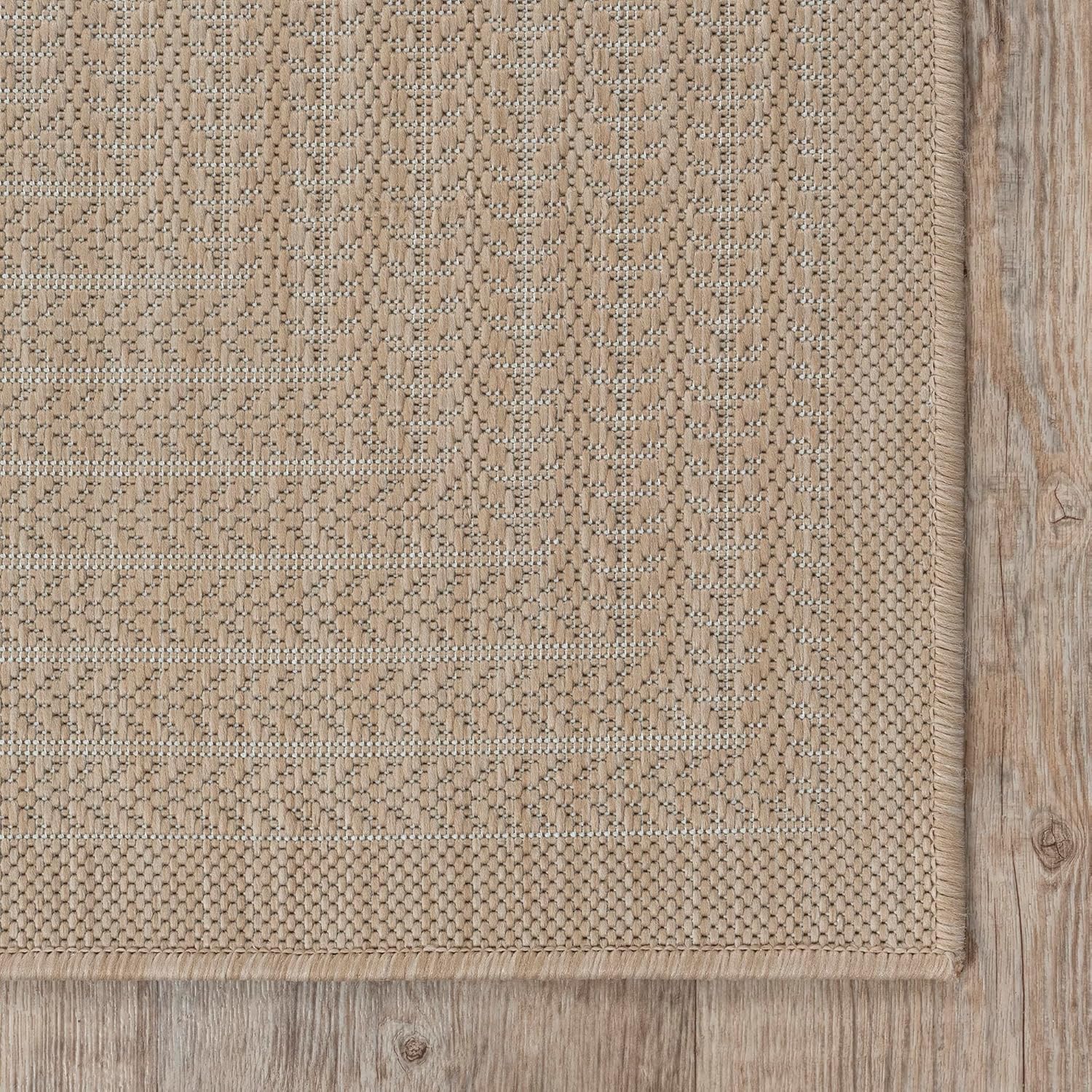 Adiva Rugs siendo enjuagada con manguera para limpieza rápida