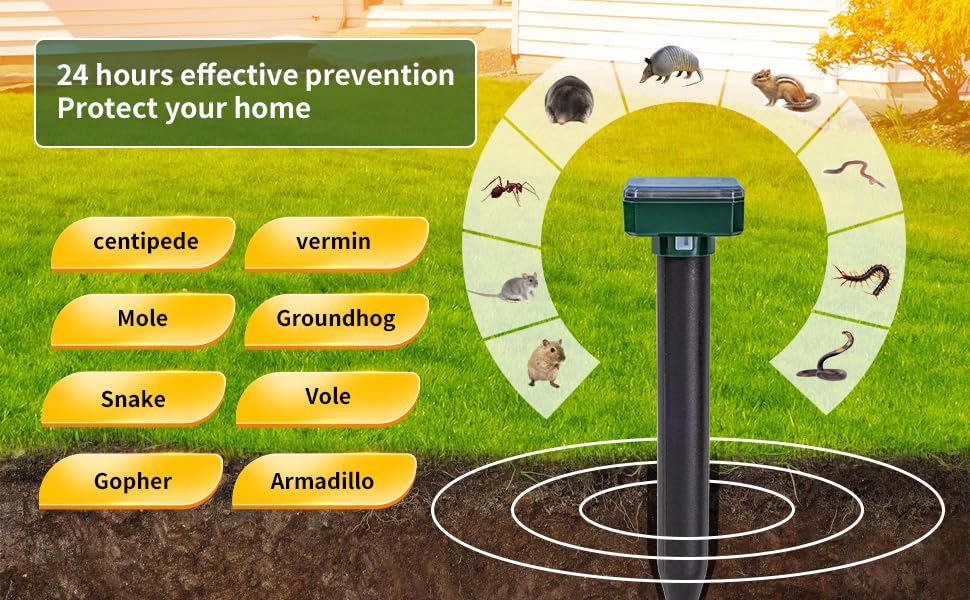 AECITY primer plano del cabezal para ver resistencia y sello impermeable