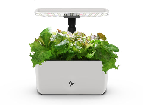 AeroGarden Harvest Lite frontal mostrando 6 plantas y estética crema